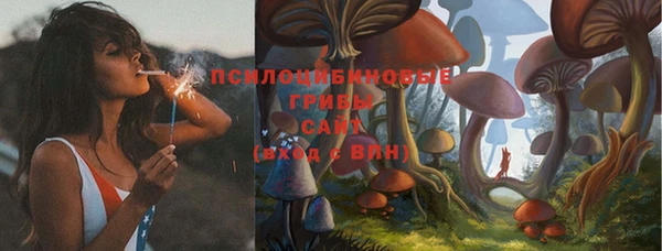 кокаин колумбия Богданович