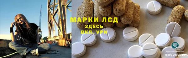спиды Бородино