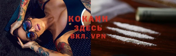 спиды Бородино