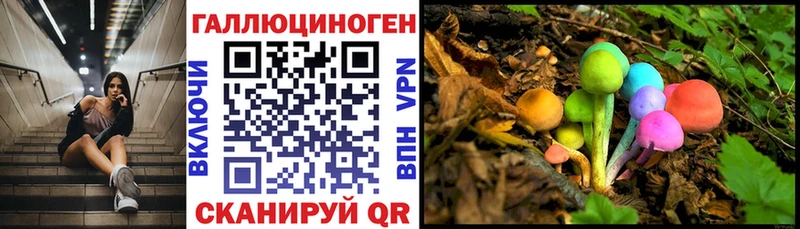 Галлюциногенные грибы мухоморы где купить наркотик Тамбов
